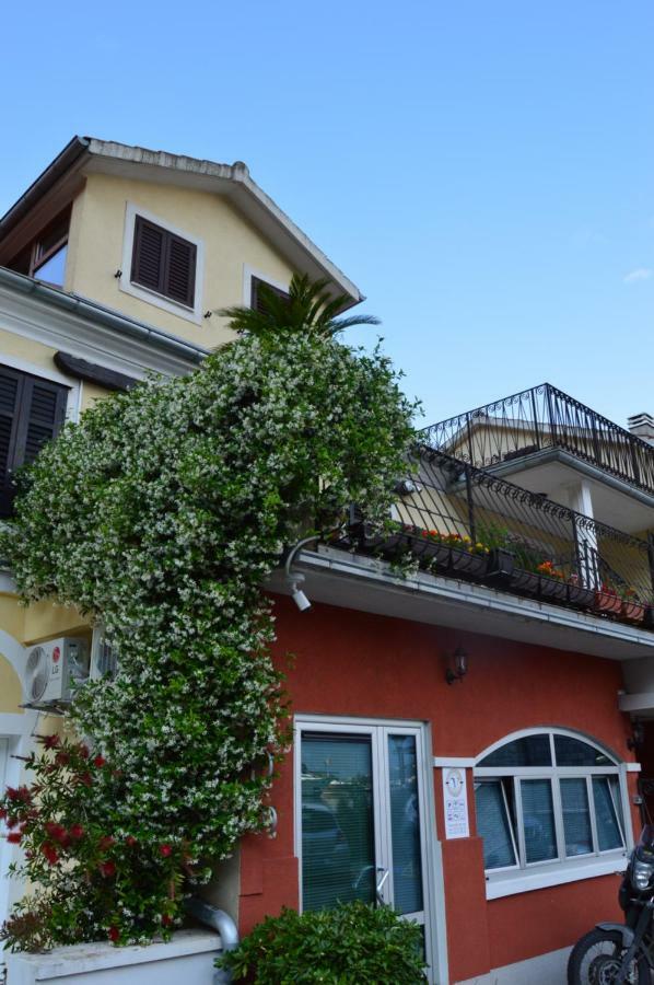 Apartments Qualitas Kotor Dış mekan fotoğraf